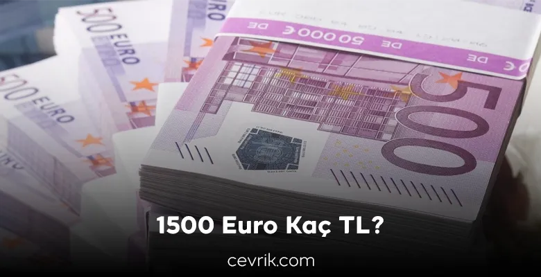 Bilgi Cevrik