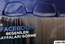 Facebook’ta Beğenilen Sayfalar 2017