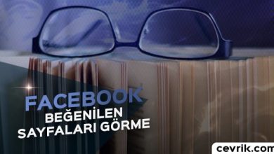 Facebook’ta Beğenilen Sayfalar 2017