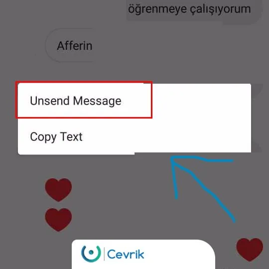 Instagram DM Mesaj Silme