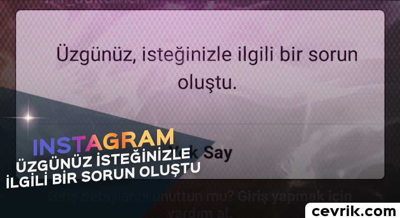 Instagram Hesaba Giriş Sorunu