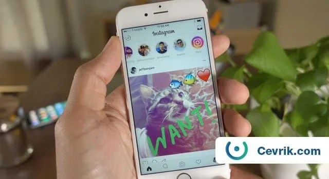 Instagram hikaye bildirimleri