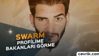 Swarm Profilime Bakanlar 2024